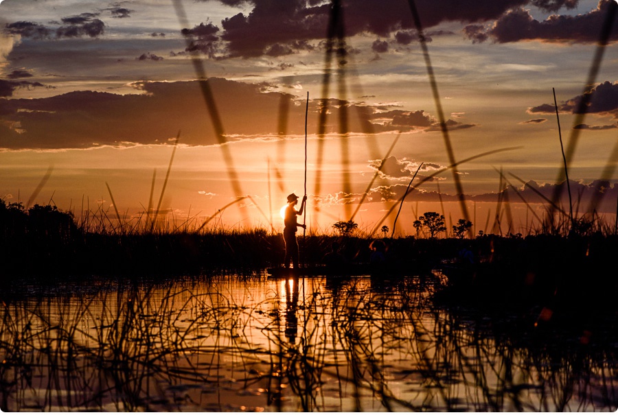 Afrika Teil1 - Von WIndhoek,Namibia nach Botswana ins Okavango Delta (84 von 118)