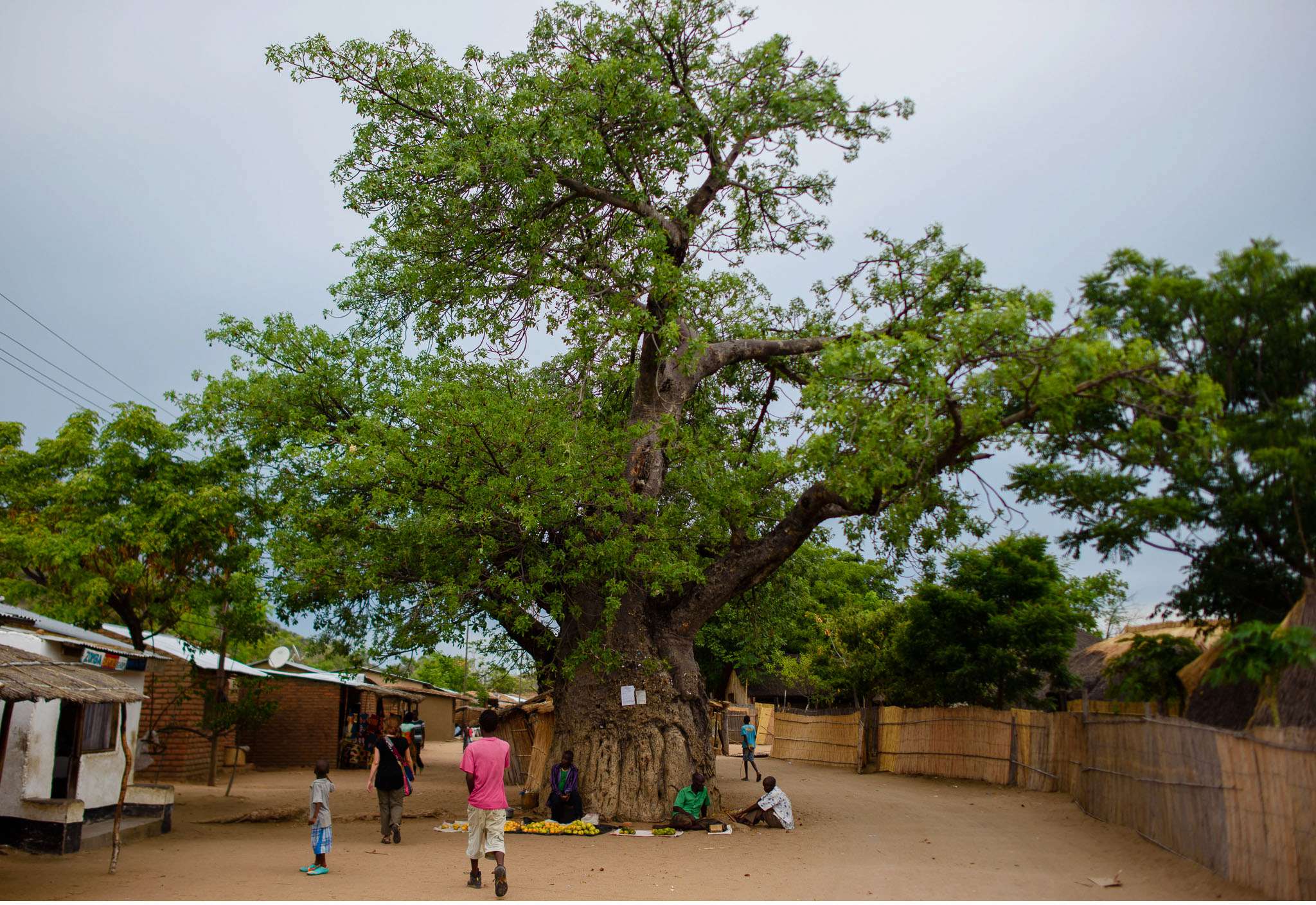 Malawi-Quer durch Afrika- Geschichten von unterwegs by Marion and Daniel-48
