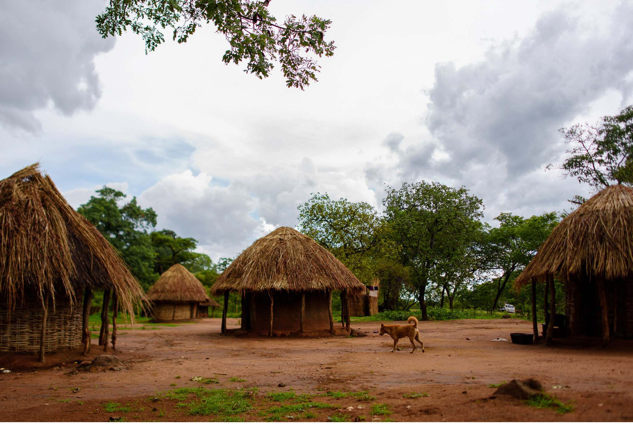 Vom South Luangwa in Zambia an den Malawi See - Marion und Daniel - Geschichten von unterwegs-5