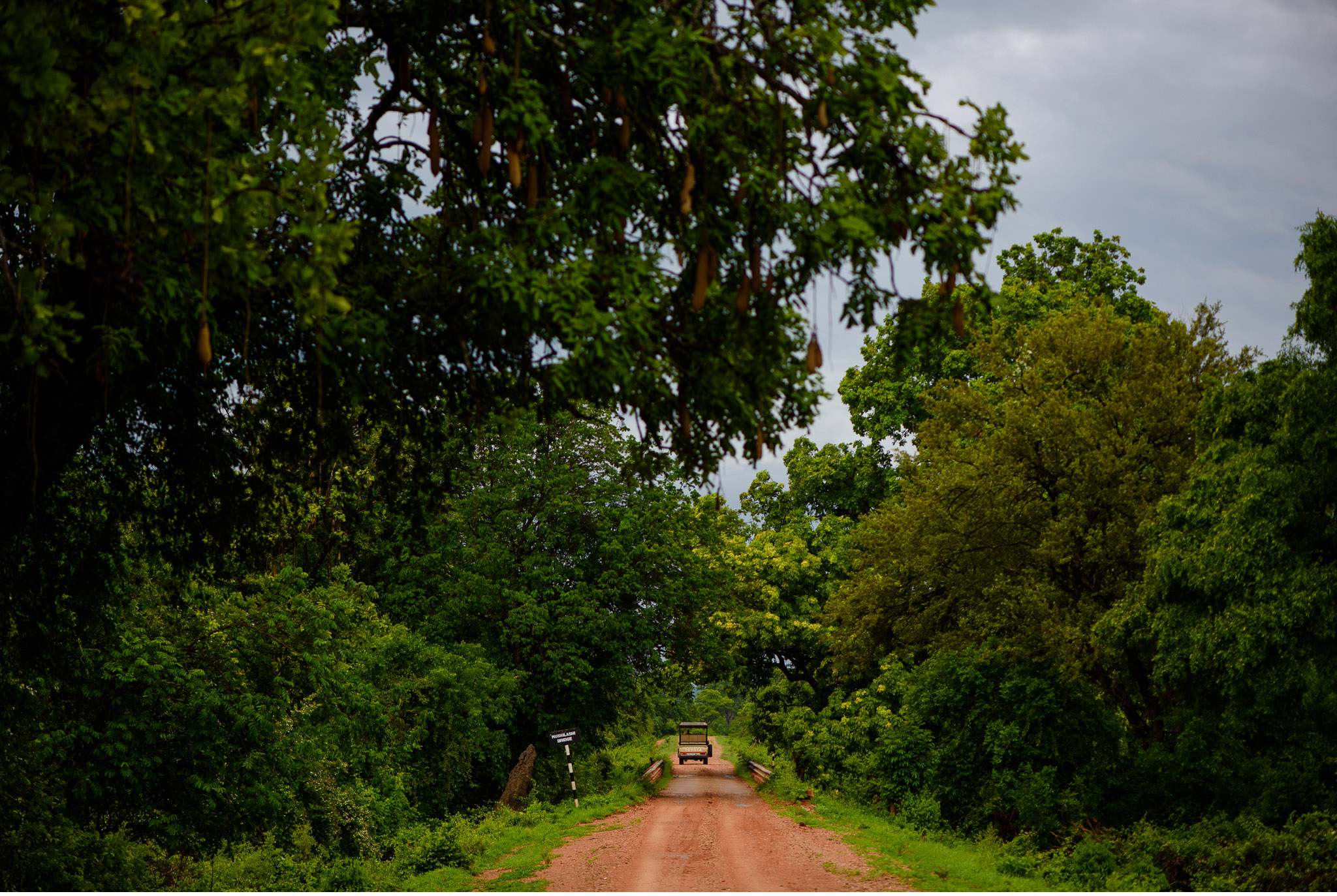 Vom South Luangwa in Zambia an den Malawi See - Marion und Daniel - Geschichten von unterwegs-51