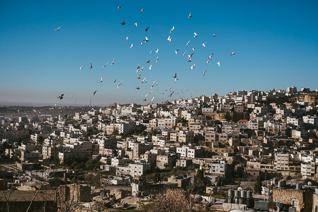 Hebron - West Bank - Israel - Palestine (21 von 75)